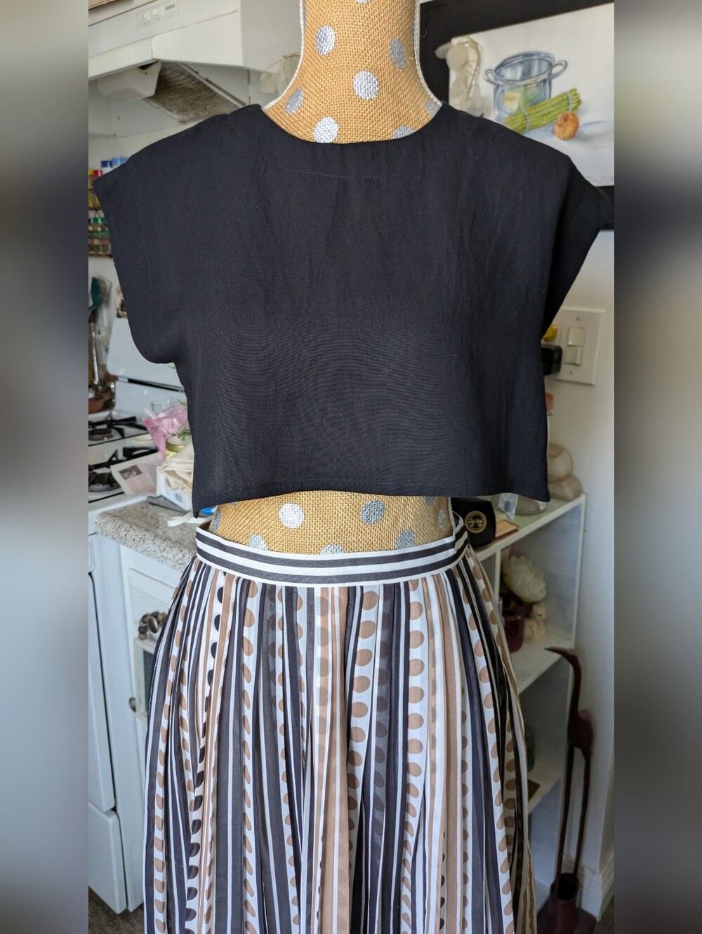 2Pc-Broadway & Broome Pleated Skirt + Bella Black Crop Cotton Top Set Stylish